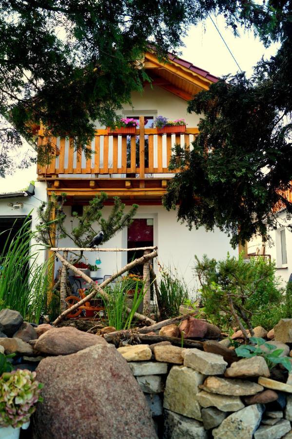 Agroturystyka U Willima Mechnica Extérieur photo