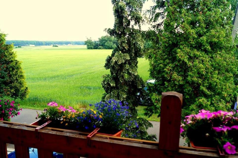 Agroturystyka U Willima Mechnica Extérieur photo