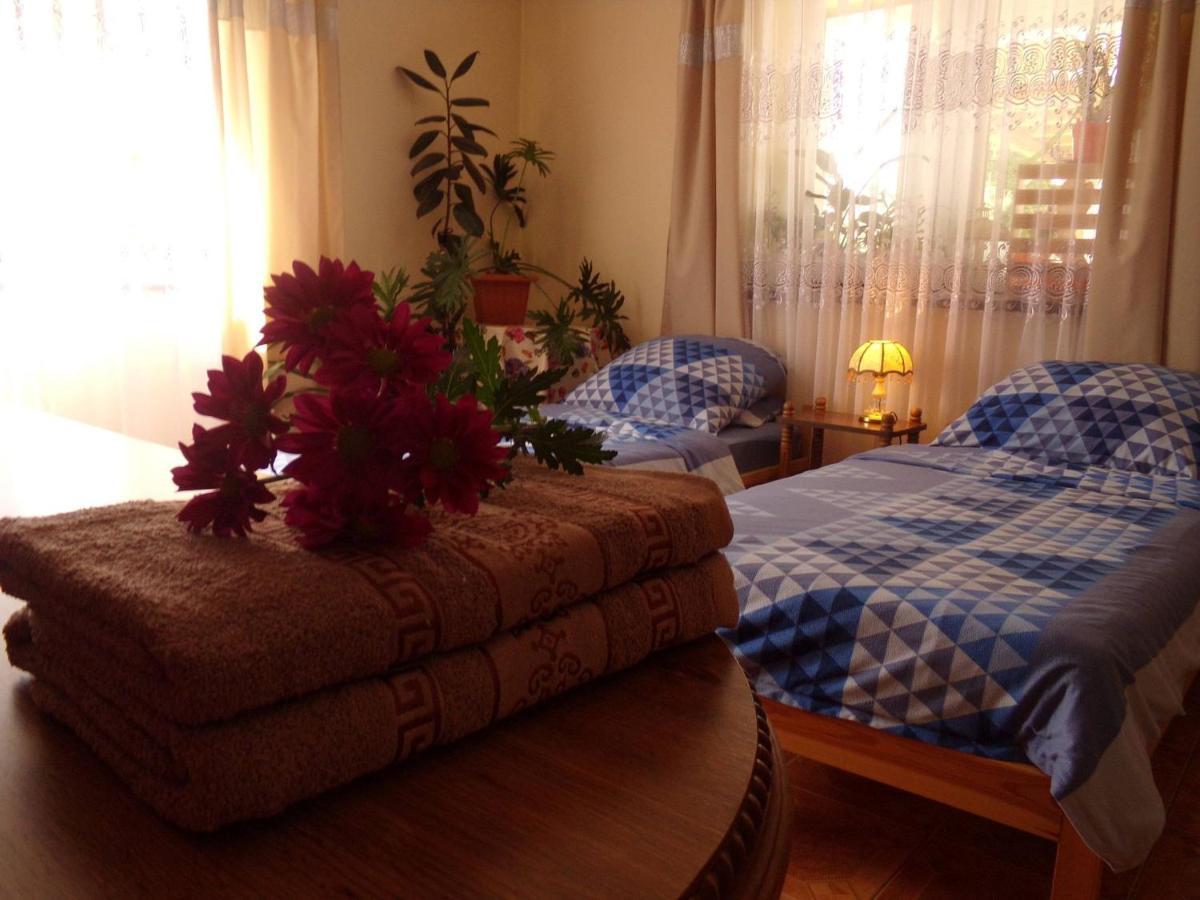 Agroturystyka U Willima Mechnica Extérieur photo