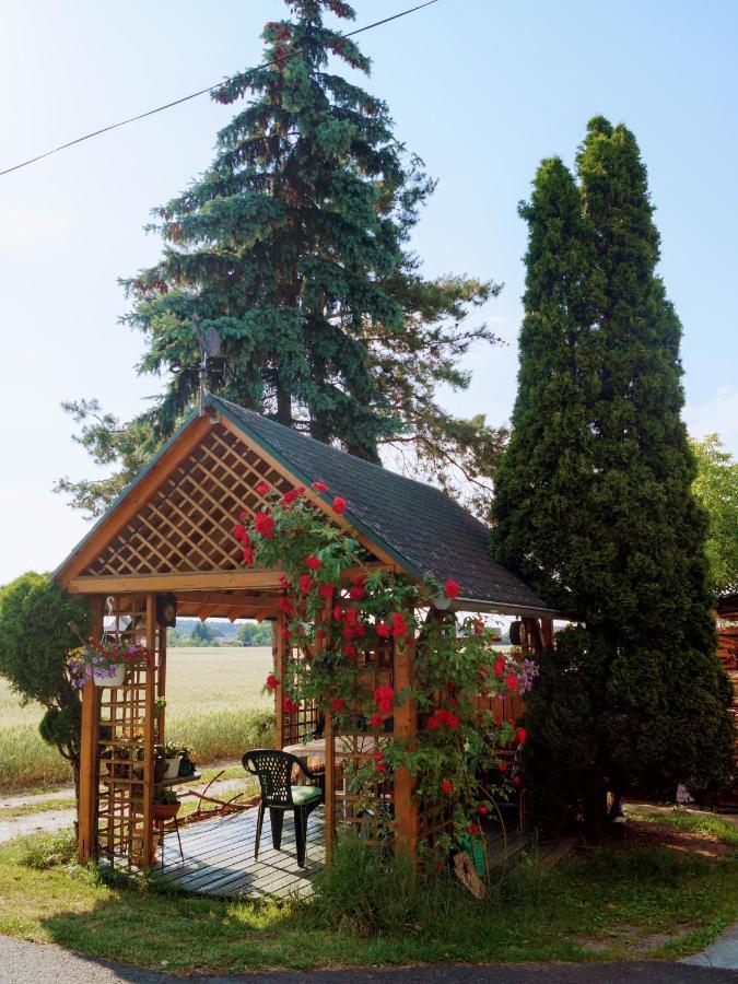 Agroturystyka U Willima Mechnica Extérieur photo